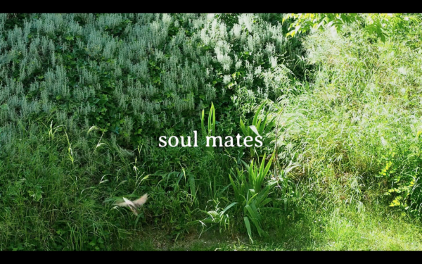 Soul Mates