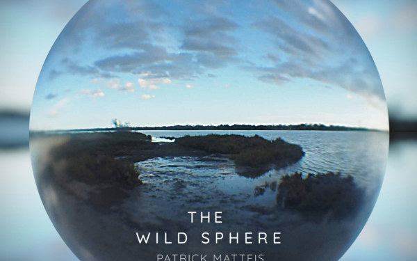 The Wild Sphere
